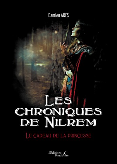 Damien ARES - Les chroniques de Nilrem – Le cadeau de la princesse