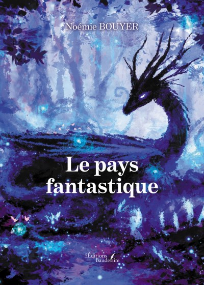 BOUYER NOEMIE - Le pays fantastique