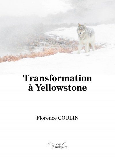 Florence COULIN - Transformation à Yellowstone