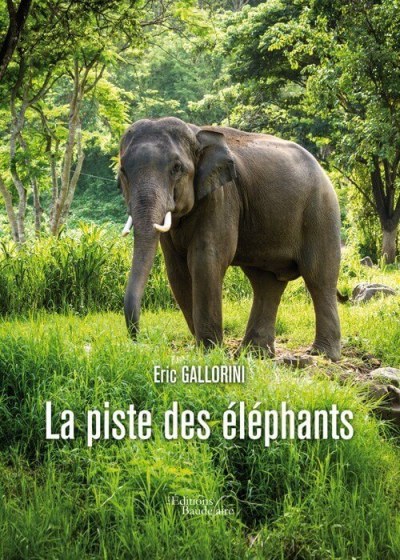Éric GALLORINI - La piste des éléphants