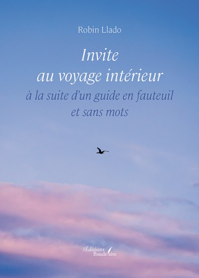 Robin LLADO - Invite au voyage intérieur à la suite d'un guide en fauteuil et sans mots