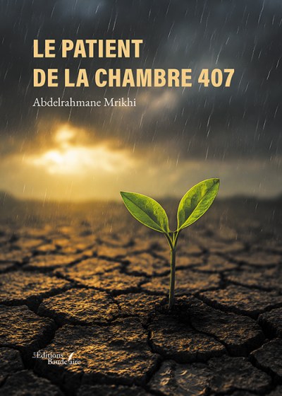 Abdelrahmane MRIKHI - Le patient de la chambre 407