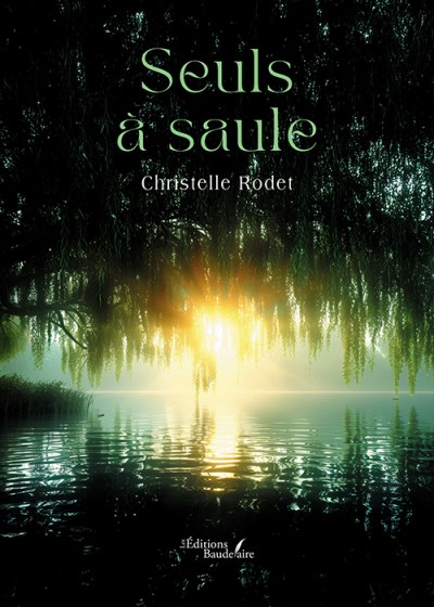 Christelle RODET - Seuls à saule