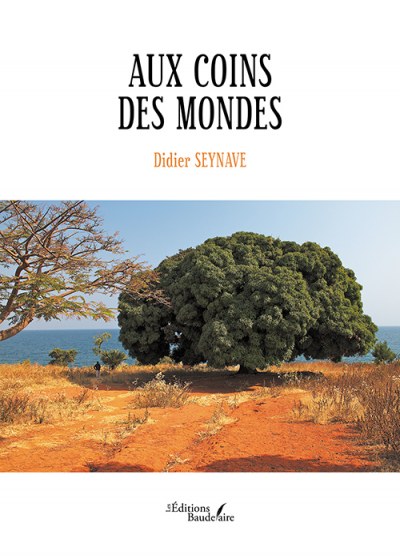 SEYNAVE DIDIER - Aux coins des mondes