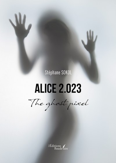 Stéphane SOKOL - Alice 2.o23