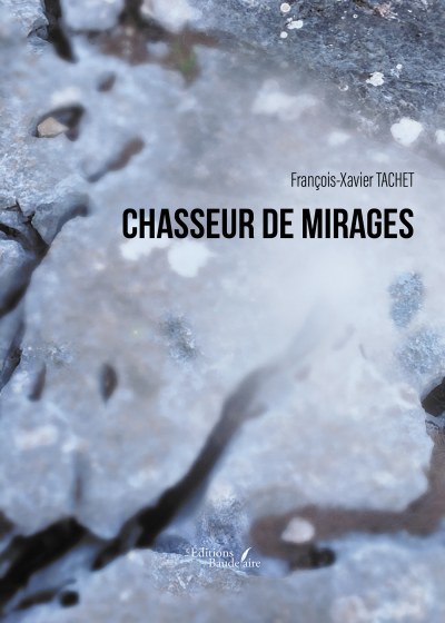 François-Xavier TACHET - Chasseur de mirages