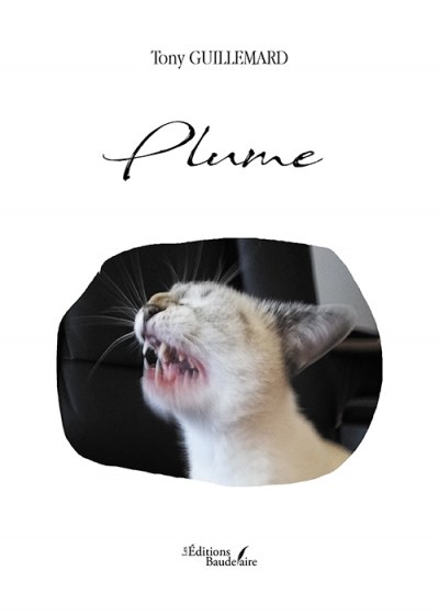 GUILLEMARD TONY - Plume